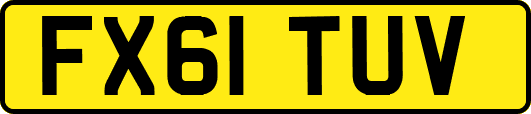 FX61TUV