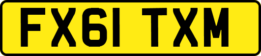 FX61TXM