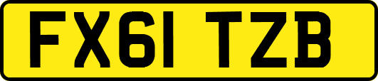 FX61TZB
