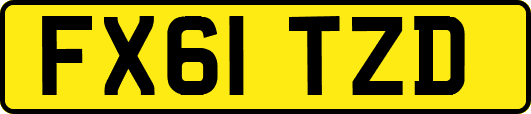 FX61TZD