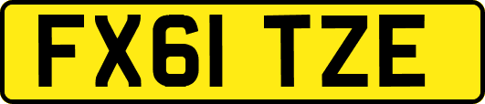FX61TZE