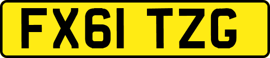 FX61TZG