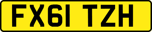 FX61TZH