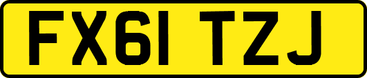FX61TZJ