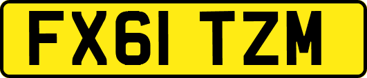 FX61TZM