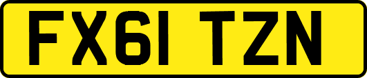FX61TZN
