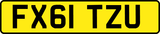 FX61TZU