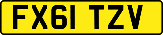 FX61TZV