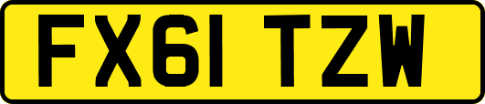FX61TZW