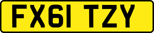 FX61TZY