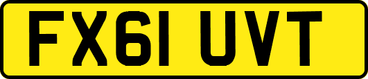 FX61UVT