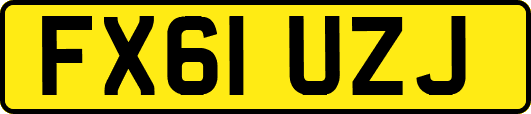 FX61UZJ
