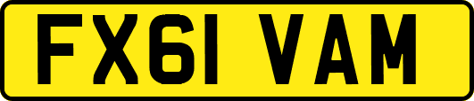 FX61VAM