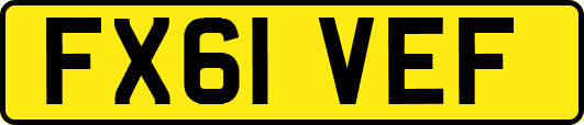 FX61VEF