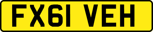 FX61VEH