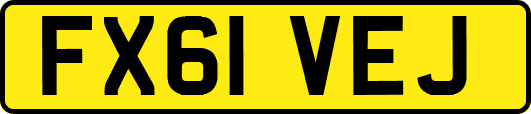 FX61VEJ
