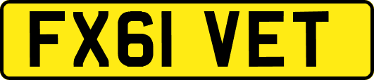 FX61VET