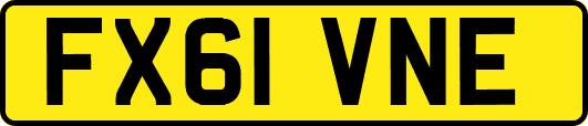 FX61VNE
