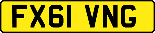 FX61VNG