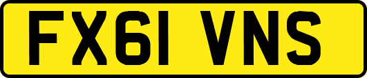 FX61VNS