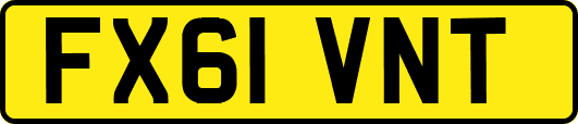 FX61VNT