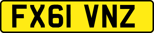 FX61VNZ