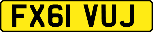 FX61VUJ