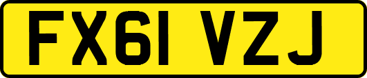 FX61VZJ