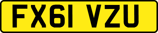 FX61VZU