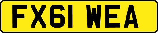 FX61WEA