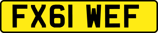 FX61WEF