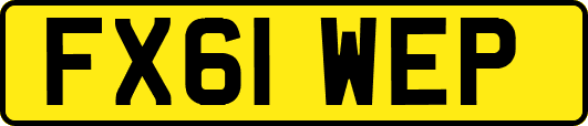 FX61WEP