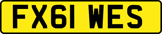 FX61WES