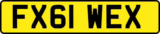 FX61WEX
