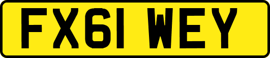 FX61WEY