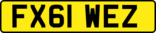 FX61WEZ