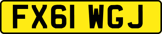 FX61WGJ