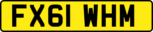 FX61WHM