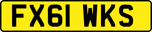 FX61WKS