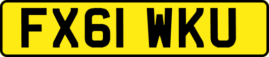 FX61WKU