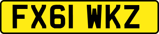 FX61WKZ