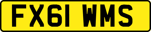 FX61WMS