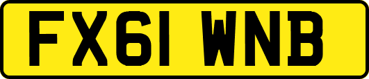 FX61WNB