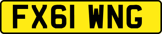 FX61WNG