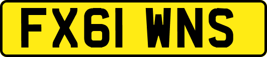 FX61WNS