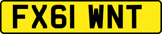 FX61WNT