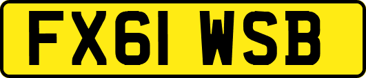 FX61WSB