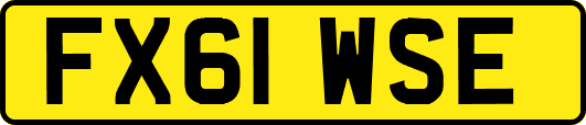 FX61WSE