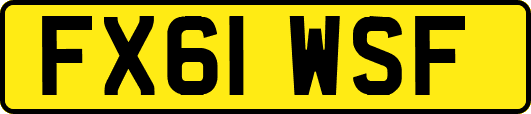 FX61WSF