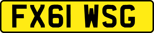 FX61WSG